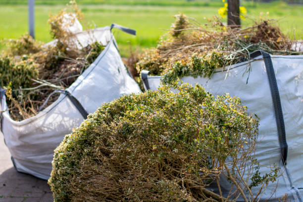 Best Trash Removal Near Me  in Madera, CA